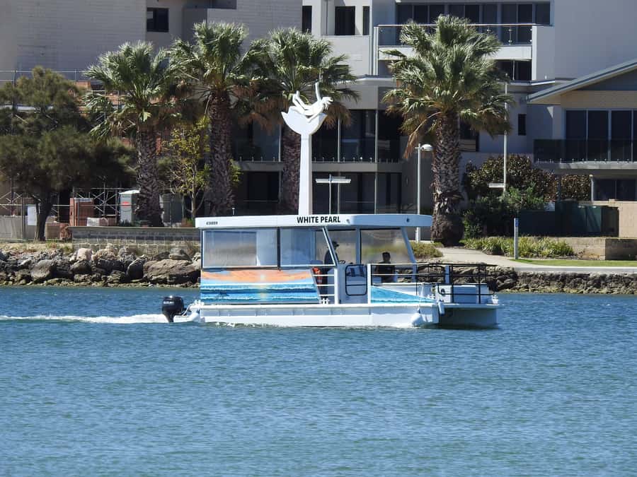 Mandurah: Sightseeing Dolphin Cruise with Tour Guide - Dolphin Quay and Mandurah’s Marina
