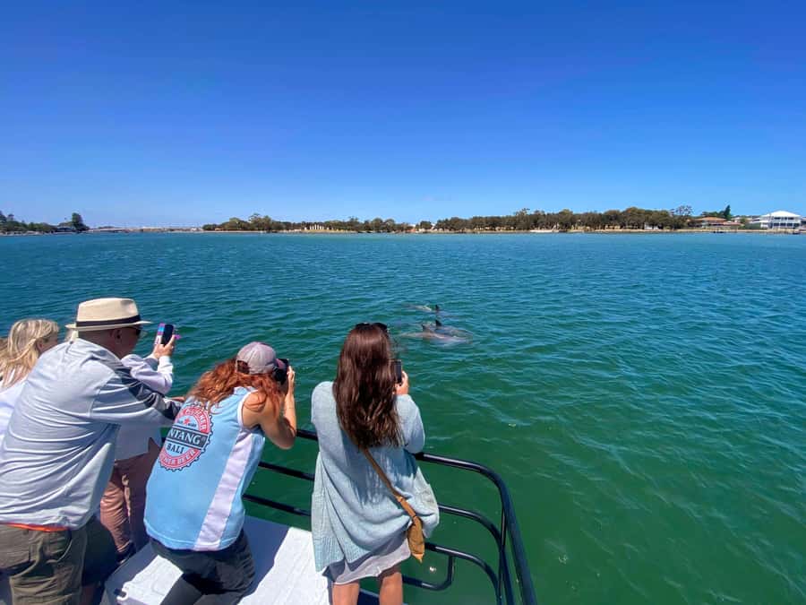 Mandurah: Sightseeing Dolphin Cruise with Tour Guide - Should You Book the Mandurah Dolphin Cruise?