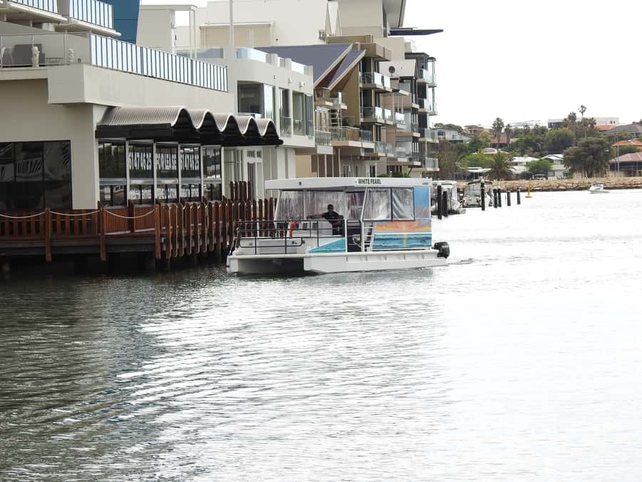 Mandurah: Sightseeing Dolphin Cruise with Tour Guide - Canal Homes and Million-Dollar Views