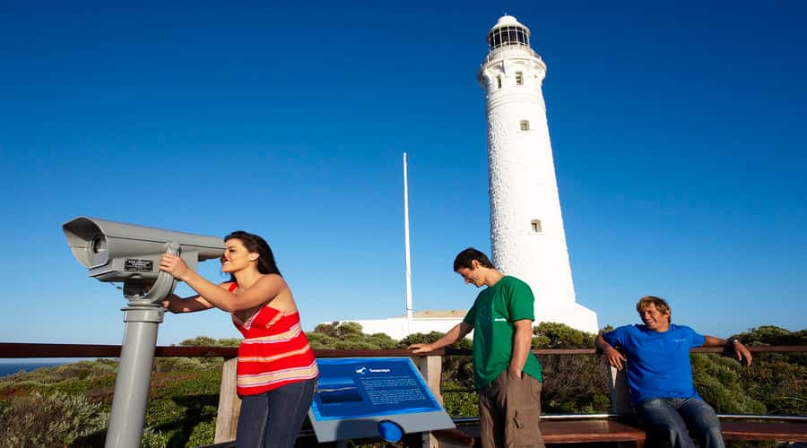 Margaret River and Busselton Jetty: Day Trip from Perth - What this Perth day trip really covers