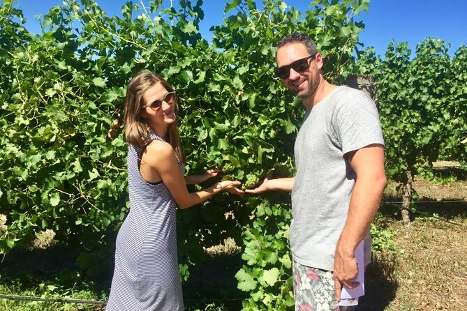 Margaret River Beer & Wine Adventure (departs Dunsborough/Busselton) - Who should book this day