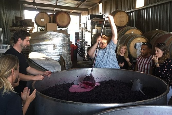 Margaret River Beer & Wine Adventure (departs Margaret River) - Key points to know before booking