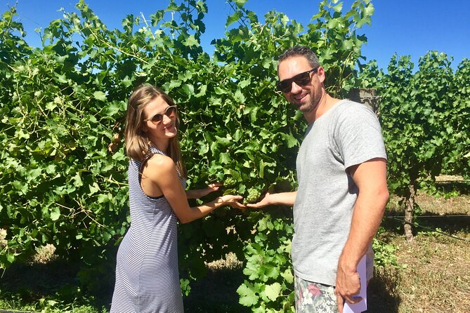 Margaret River Beer & Wine Adventure (departs Margaret River) - The wine blending session gives the day a purpose