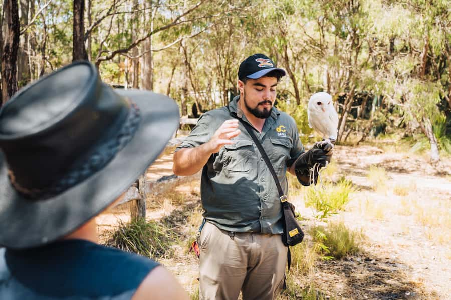 Margaret River: Birds of Prey Encounter and Forest Walk - Key points to know before you go