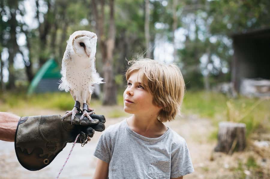 Margaret River: Birds of Prey Encounter and Forest Walk - The 1km forest walk and resident birds