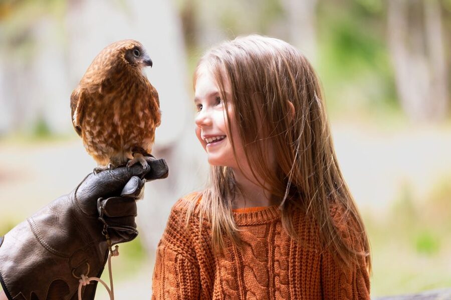 Margaret River: Birds of Prey Encounter and Forest Walk - FAQ