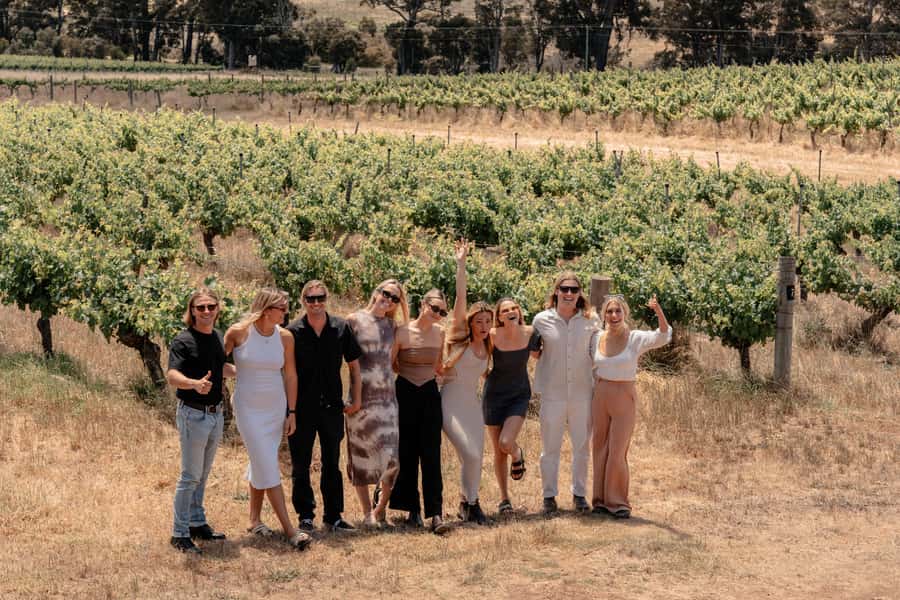 Margaret River: Boutique Wine Tour w. Blind Tasting + Lunch - A surf lookout with a useful wine lesson