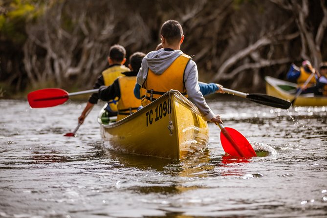 Margaret River Canoe Tour Including Australian Wild Food Lunch - Key points to know before you book
