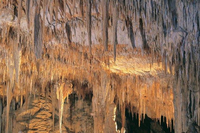 Margaret River, Caves, Wine and Cape Leeuwin Lighthouse Tour from Perth - Lunch and tastings at Cheeky Monkey Brewing Co.