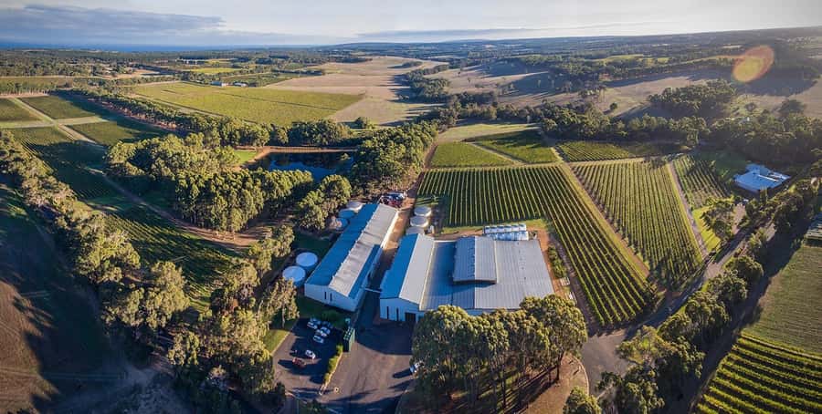 Margaret River: Full-Day Wine Tour - Key points to know before booking