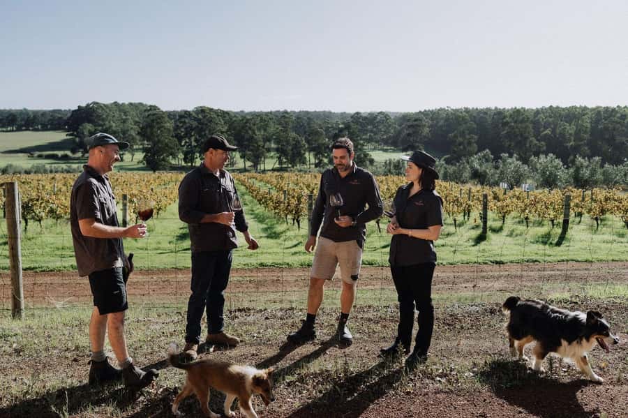 Margaret River: Full-Day Wine Tour - Guides make the long day easier