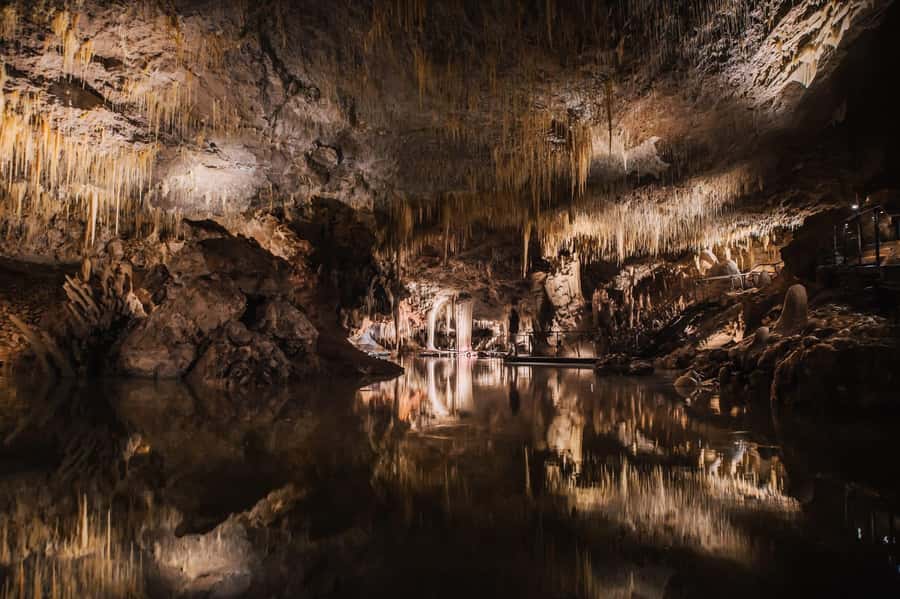 Margaret River: Lake Cave Fully-Guided Tour - The staircase is the opening act