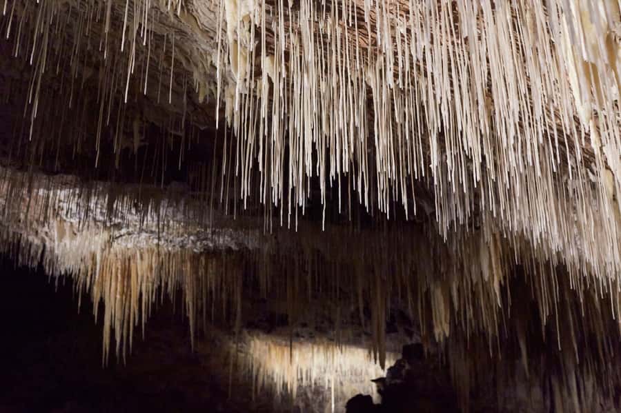 Margaret River: Lake Cave Fully-Guided Tour - Is one hour enough?