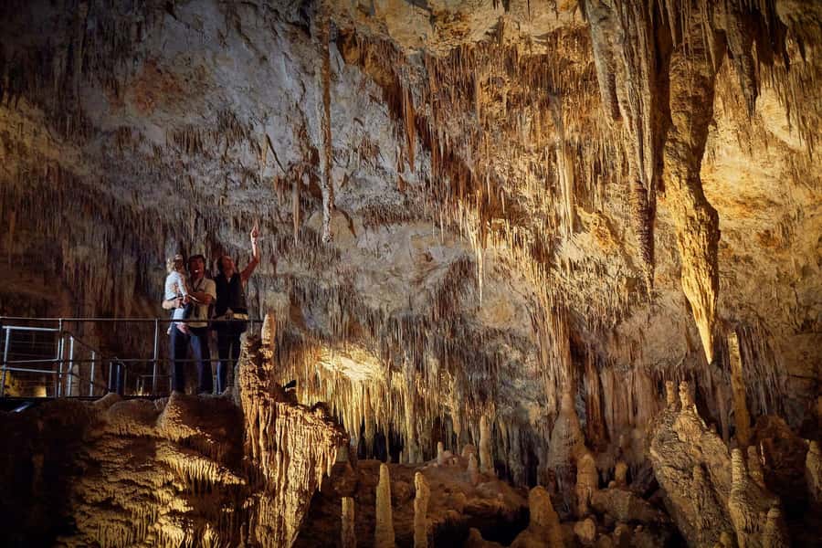 Margaret River: Self-Guided Audio Tour of Mammoth Cave - Starting through Australian bushland
