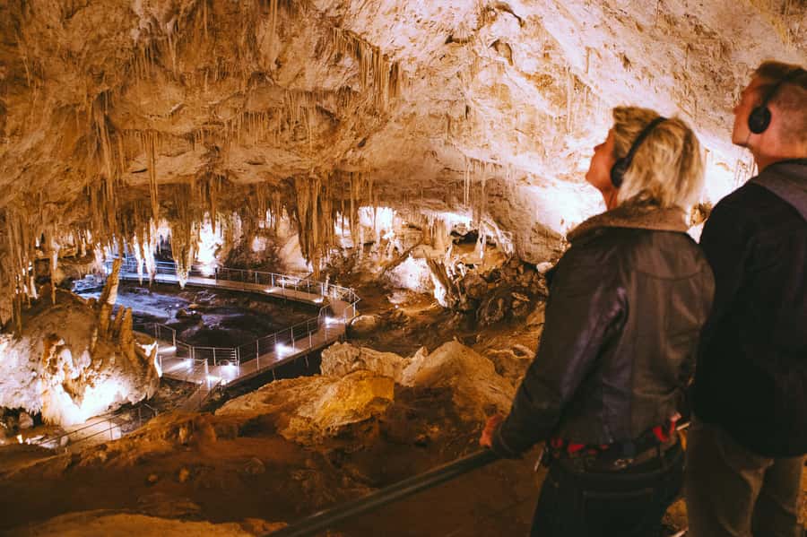 Margaret River: Self-Guided Audio Tour of Mammoth Cave - The zygomaturus jawbone and the fossil story