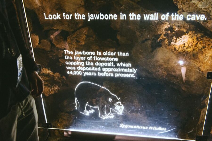 Margaret River: Self-Guided Audio Tour of Mammoth Cave - Ending with Marri forest and bird calls