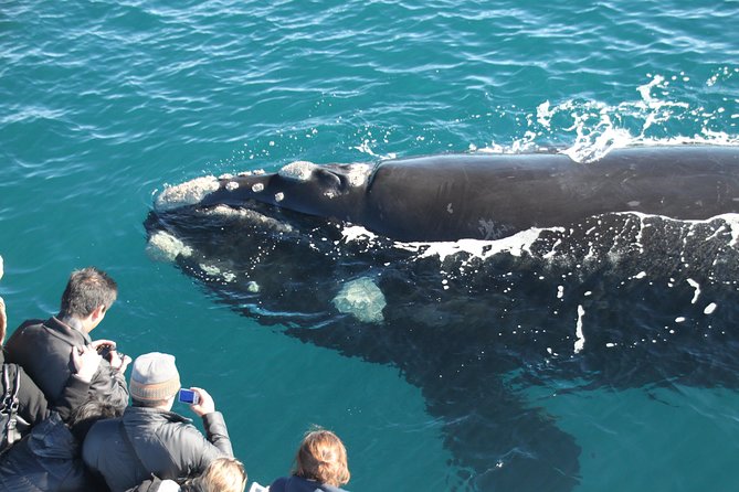 Margaret River Wine and Sights Discovery Tour from Busselton or Dunsborough - Is $75 good value?