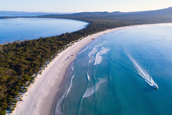 Maria Island Cruise and Guided Walk Day Tour with Lunch and Drinks - Why Maria Island works so well as a day trip