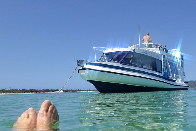 Maria Island Cruise and Guided Walk Day Tour with Lunch and Drinks - The cruise: cliffs, caves, seals, and dolphins