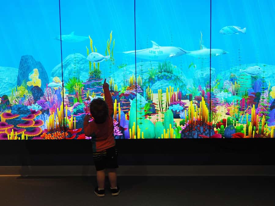 Marine Discovery Centre - The First 90 Minutes: Aquariums from River to Reef