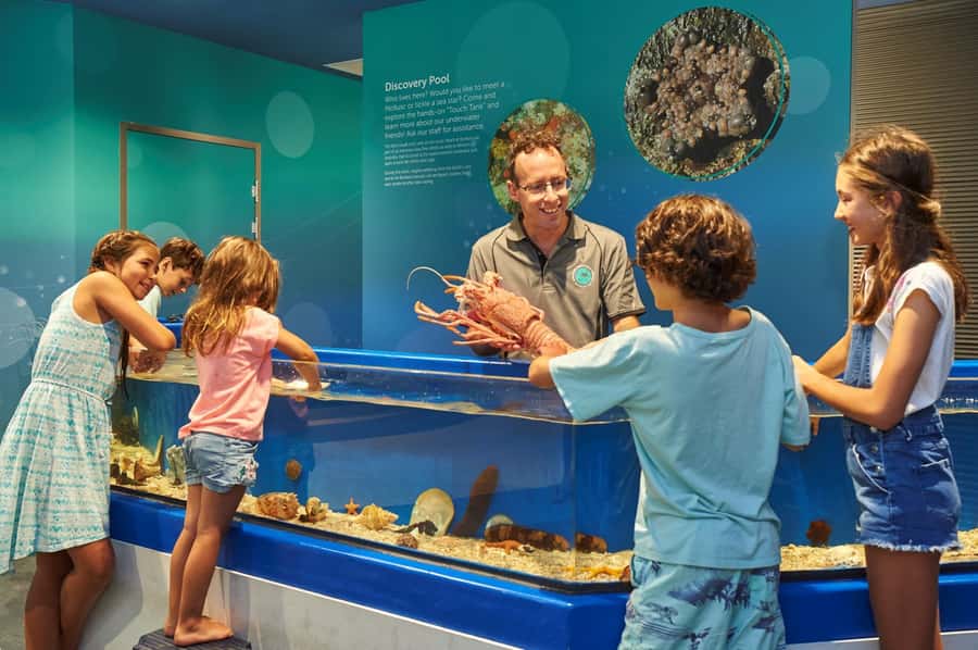 Marine Discovery Centre - Feeding Programs and Hands-On Displays