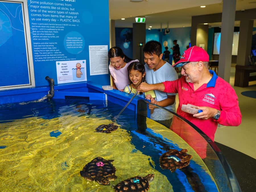 Marine Discovery Centre - A Useful Stop Before or After a Dolphin Tour