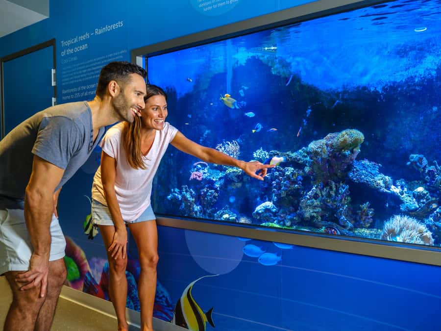 Marine Discovery Centre - A Practical Way to Plan Your Day