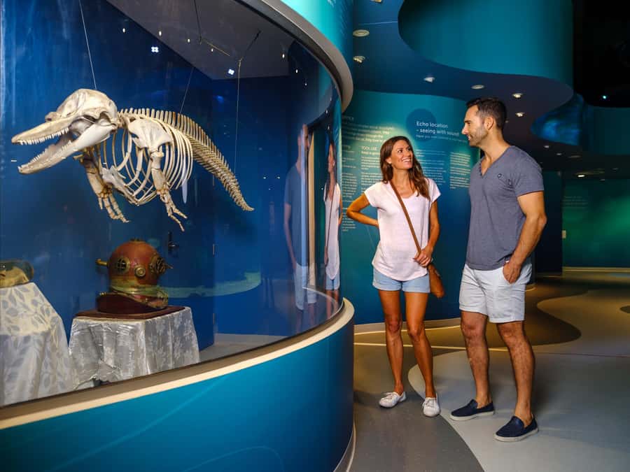 Marine Discovery Centre - Should You Book the Marine Discovery Centre?