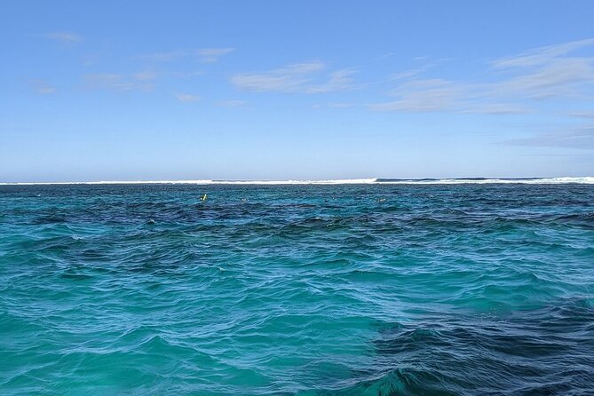 Marine Eco Safari - Swim with Manta Rays - Bateman’s Bay is the main manta-ray search