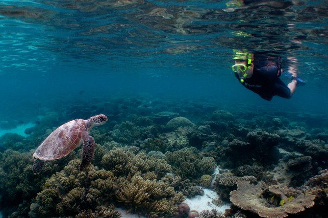 Marine Eco Safari - Swim with Manta Rays - Food, photography, and the small practical details