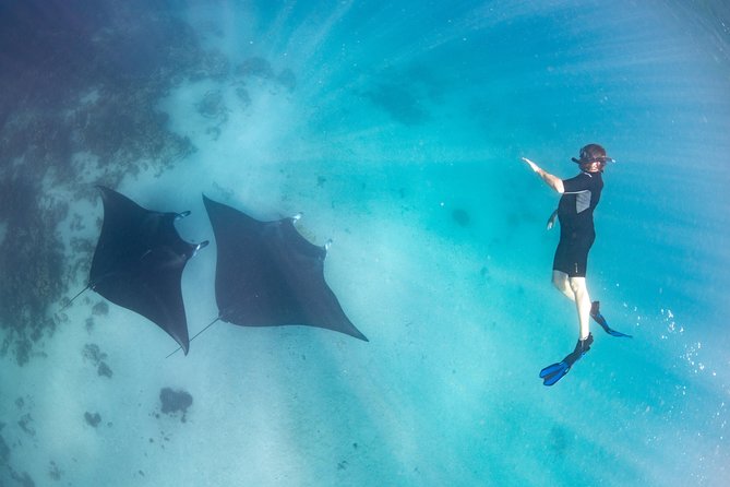 Marine Eco Safari - Swim with Manta Rays - Bills Bay brings an easy start to the water day