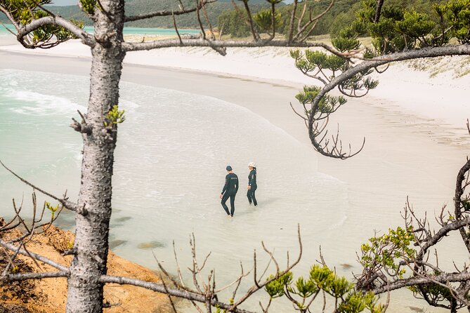 Matador Whitsundays - Nights, stars, and the group atmosphere