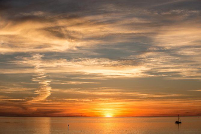 McLaren Vale and Glenelg Wine Tasting and Sightseeing (Half-day Afternoon) - Transport, group size, and meeting details