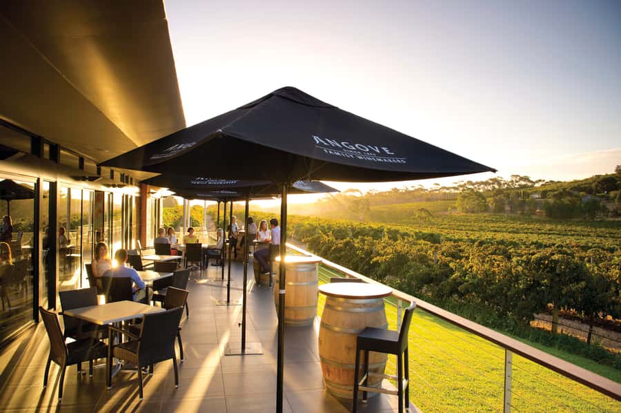 McLaren Vale North: Hop-On Hop-Off Tour - McLaren Vale’s wine styles, from Shiraz to Barbera