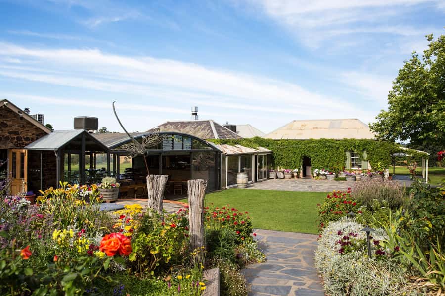 McLaren Vale North: Hop-On Hop-Off Tour - What the guides add to the day