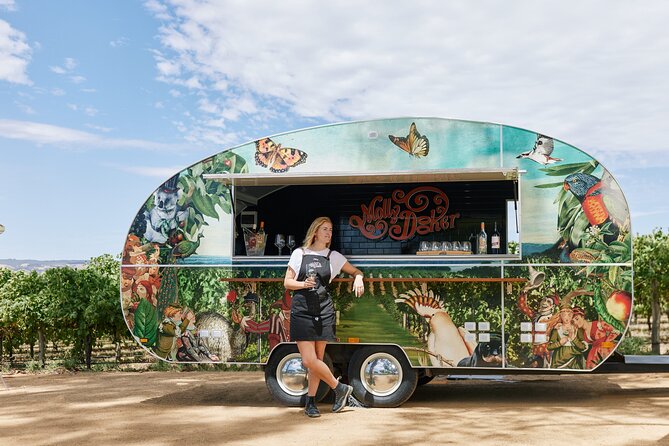 McLaren Vale North Hop-On Hop-Off Wine Tour - Who should book this McLaren Vale tour?