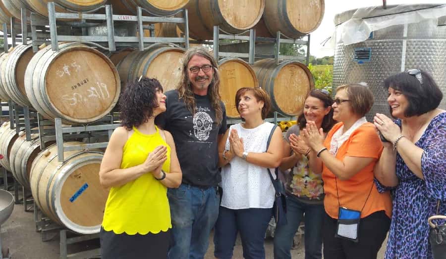 McLaren Vale: Small Group Wine Tour (Includes Lunch) - Lunch, gin, and the rhythm of the afternoon