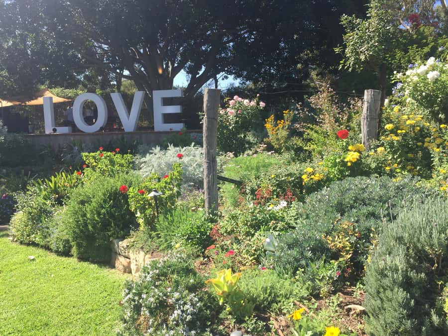 McLaren Vale: Small Group Wine Tour (Includes Lunch) - Transport, group size, and comfort