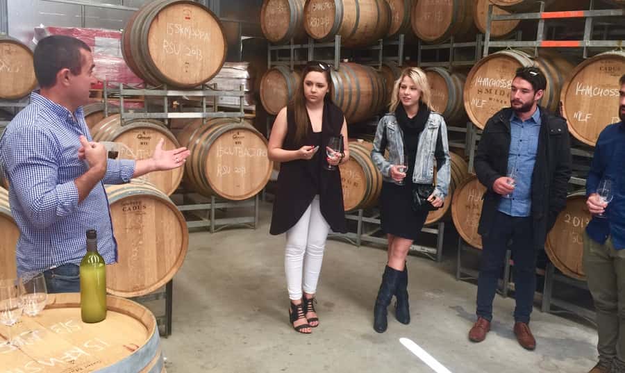 McLaren Vale: Small Group Wine Tour (Includes Lunch) - What an eight-hour day looks like