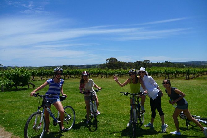 McLaren Vale Wine Tour by Bike - Two wineries, local shiraz, and smaller cellar doors