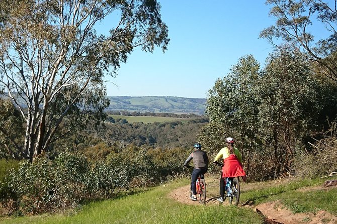 McLaren Vale Wine Tour by Bike - Lunch built around McLaren Vale produce