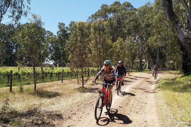 McLaren Vale Wine Tour by Bike - How much value is in the $142.73 price?