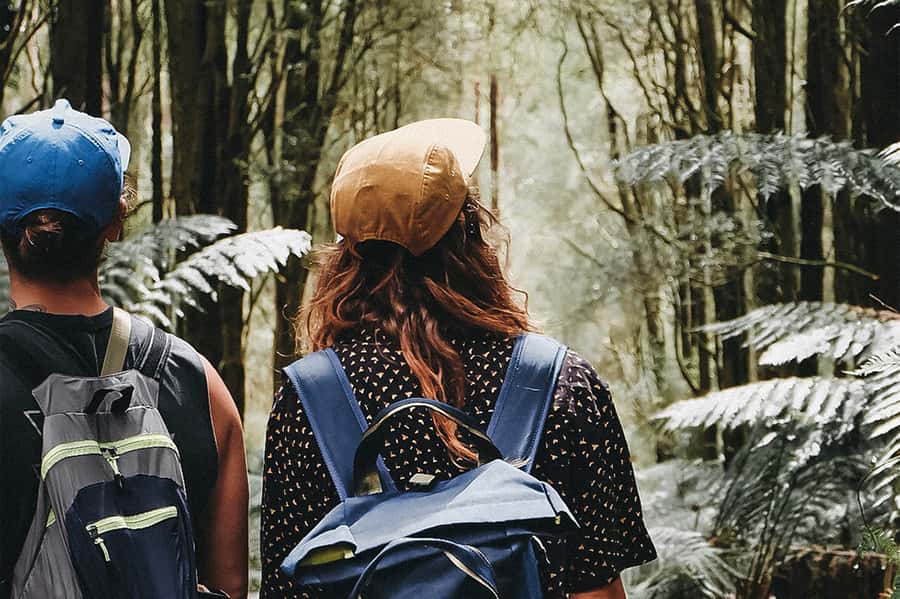 Melbourne: 12 Apostles, Otways & Great Ocean Road Day Tour - Key points to know before booking