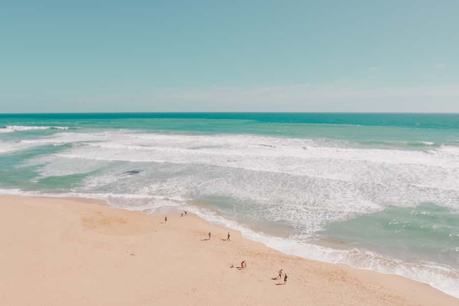 Melbourne: 12 Apostles, Otways & Great Ocean Road Day Tour - Practical details that affect your day