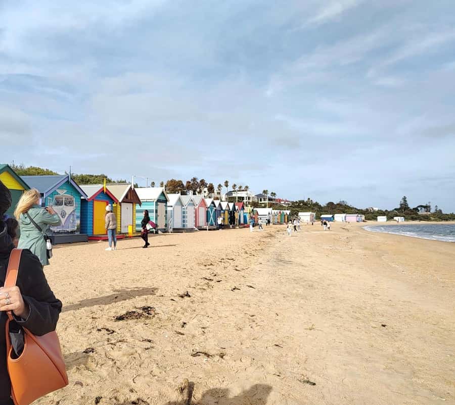 Melbourne 3-Hour Small Group Tour with Beach Boxes - St Kilda and the move toward the coast