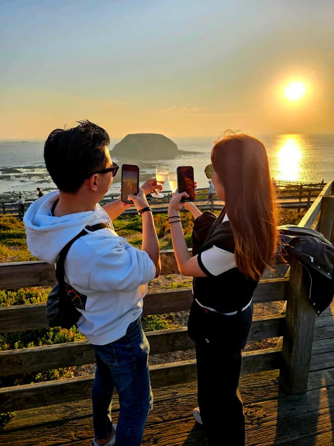 Melbourne: Boutique Phillip Island Wine, Dine & Penguin Tour - At a glance