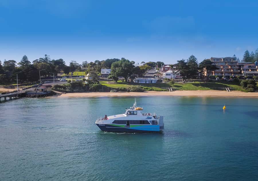 Melbourne: French and Phillip Island Wildlife Expedition - Why French Island makes the day special