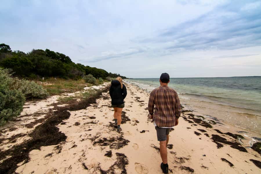 Melbourne: French and Phillip Island Wildlife Expedition - What the $155 price really covers