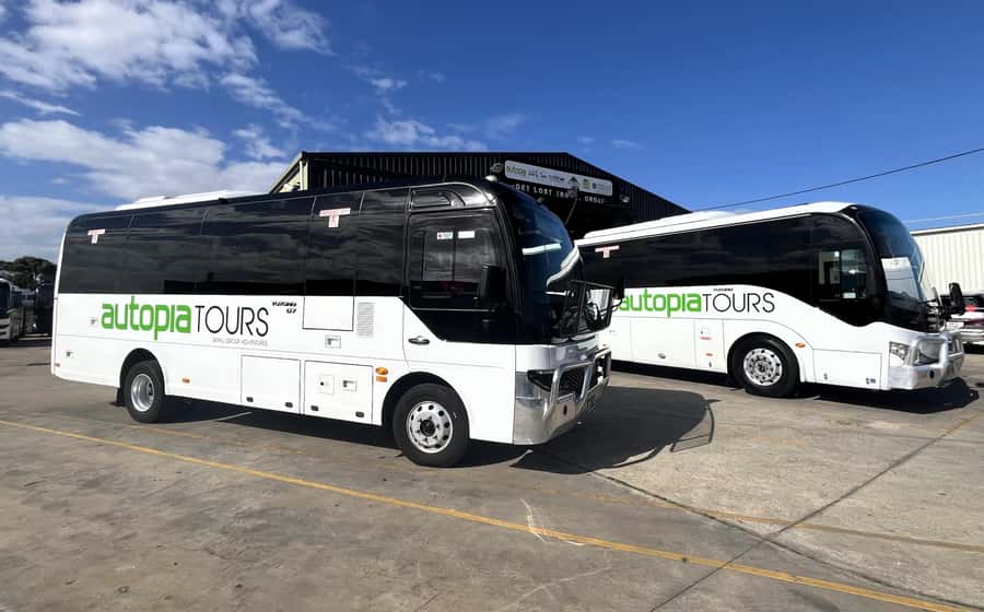 Melbourne: Great Ocean Road, 12 Apostles & Rainforest Tour - What the $106 price really covers
