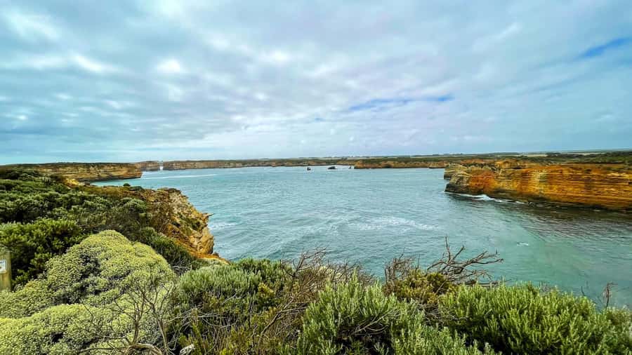 Melbourne: Great Ocean Road Adventure with Iconic Stops - A eucalyptus walk and a chance to see koalas